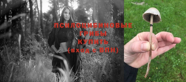 MESCALINE Баксан